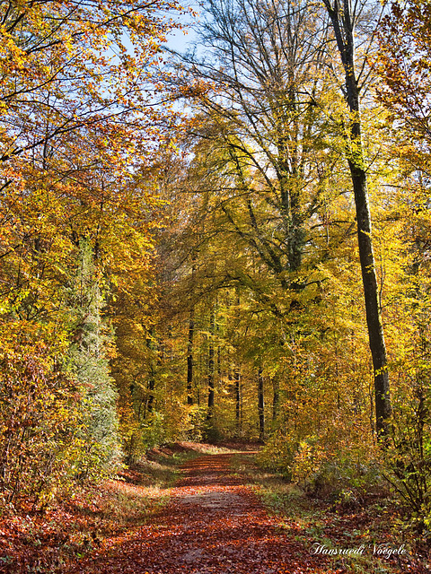 Herbststimmung