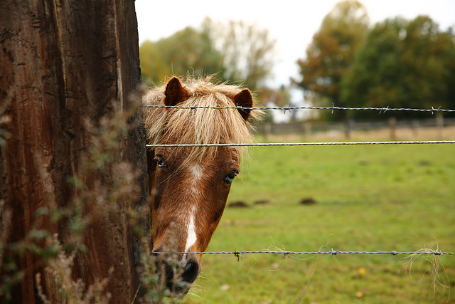 Was kuckst du ? HFF!