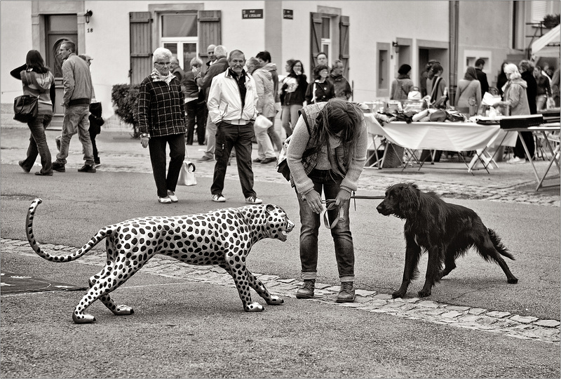 Rencontre fortuite . . .