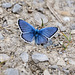 Pause in Blau