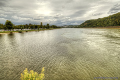 Mündung der Mosel in den Rhein