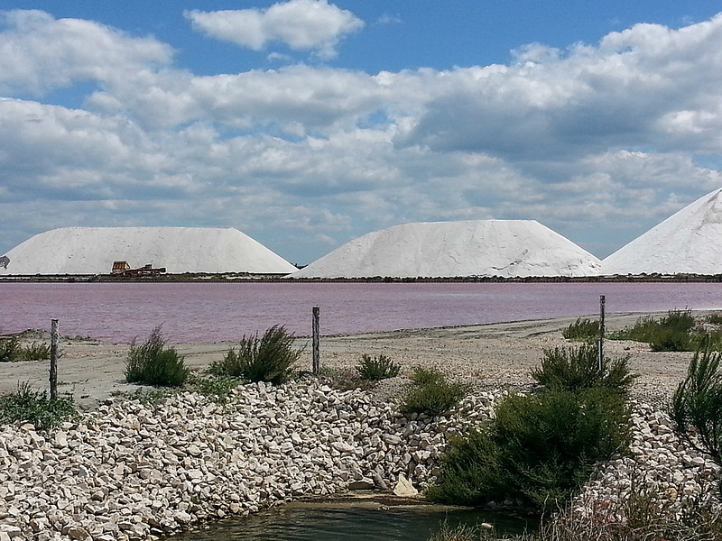 20150526 0007Hw [F] Saline, Aiges Mortes, Camargue