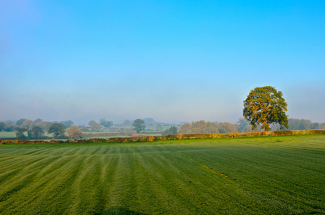 Misty start to the day