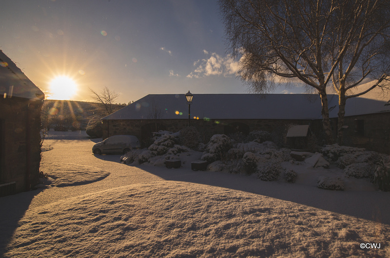 Overnight snowfall - at dawn