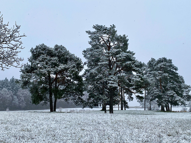 Der erste Schnee