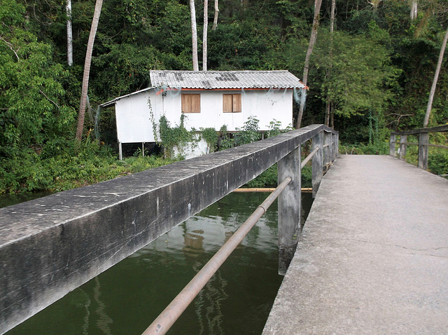 Passerelle thaïlandaise / Thai footbridge