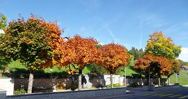 Goldener Oktobertag in Le Sentier