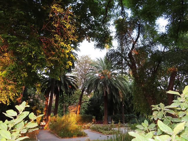 Valencia: Jardín botánico, 37