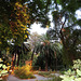 Valencia: Jardín botánico, 37