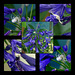 Dans mon jardin