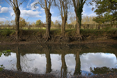 L'eau se fait rare .