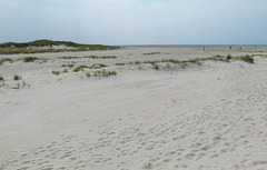 Dünen und Strand