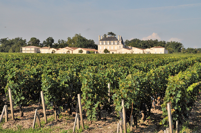 Cycling from Bordeaux Vineyards to the Atlantic Coast/ Château Grand-Puy-Lacoste