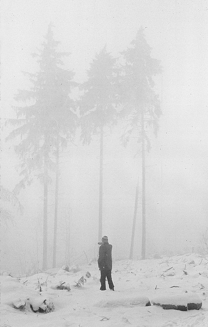 Mystical winter atmosphere in Vaals_NL