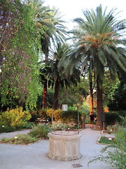 Valencia: Jardín botánico, 38