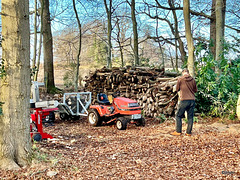 Log splitting duties this morning