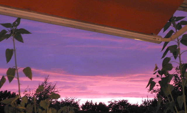 Thursday evening colors