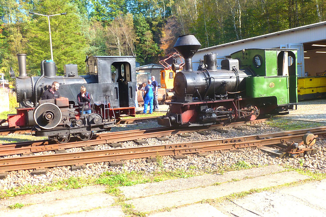 Feldbahnmuseum - Herrenleite bei Lohmen/Sachsen