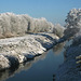 Winter Reflections  21st December 2010