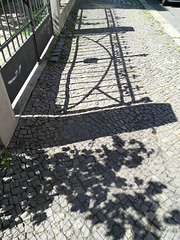 Happy Fence Shadow