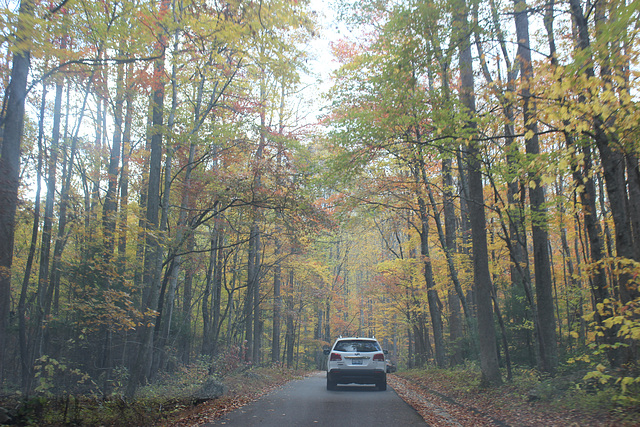 Heading out on Roaring Fork Nature Motor Trail...  Gatlinburg, Tennessee..... USA