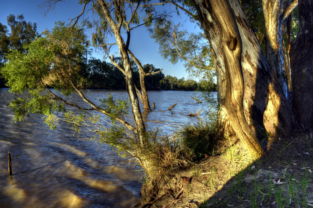 Fading afternoon light