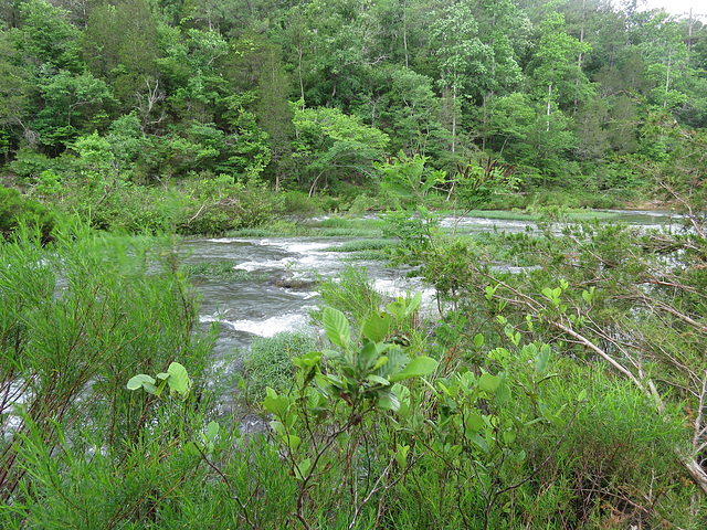 Little Cahaba River