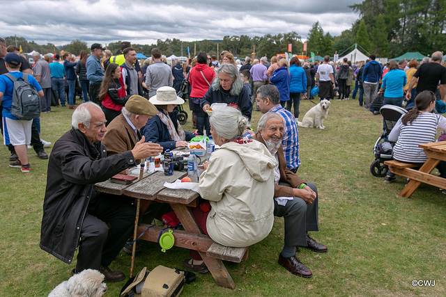 The Carrbridge World Chainsaw Carving Championship 2018