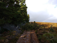 Storm damage on the Carn Daimn path