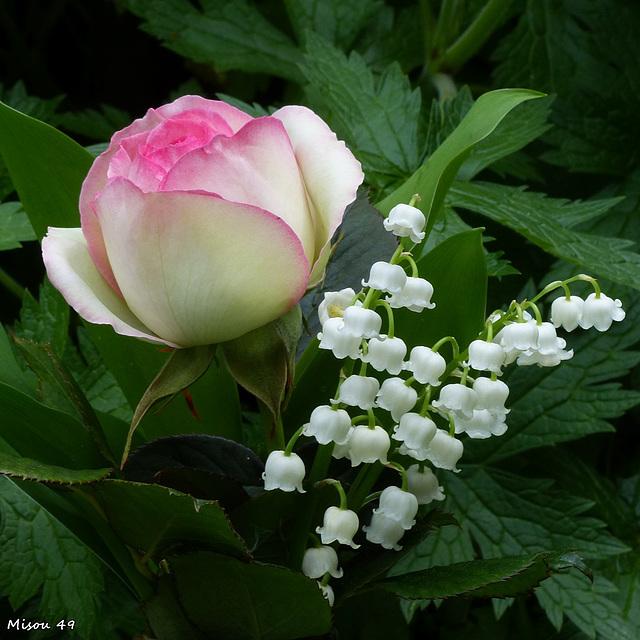 MUGUET PORTE BONHEUR