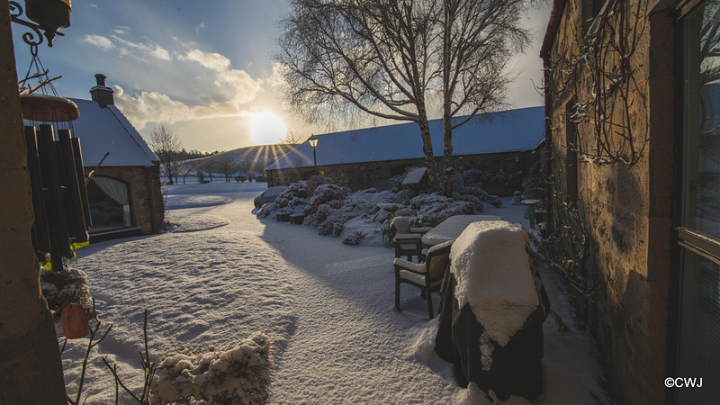 Overnight snow at Dawn