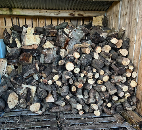 Log splitting duties this morning
