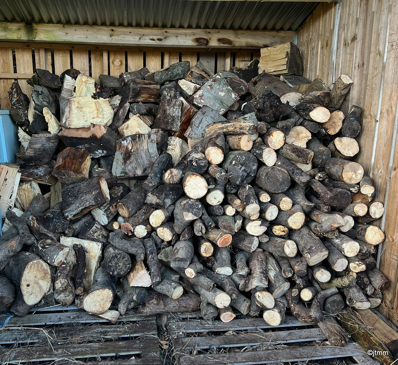 Log splitting duties this morning