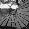 Benches