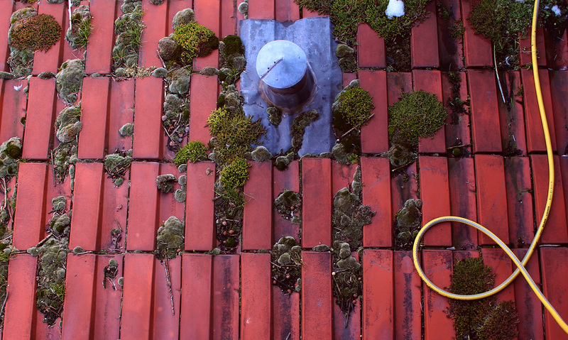 SSC from above - manmade roof, but nature takes over