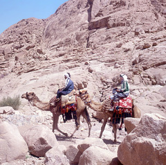 Meeting us when we came down from Mount Sinai