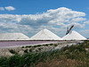 20150526 0009Hw [F] Saline, Aiges Mortes, Camargue
