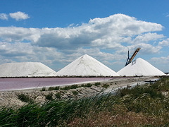 20150526 0009Hw [R~F] Saline, Aiges Mortes, Frankreich