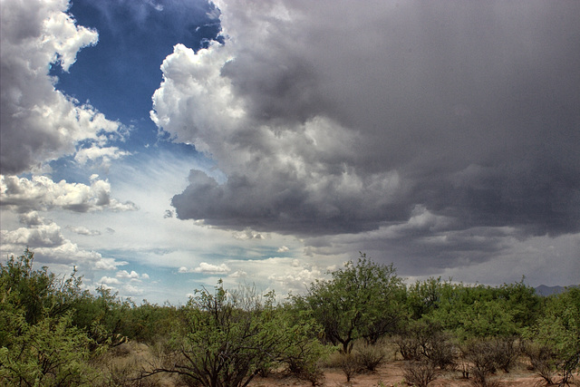 The Monsoon Closes In