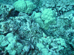 PICT0322.JPG