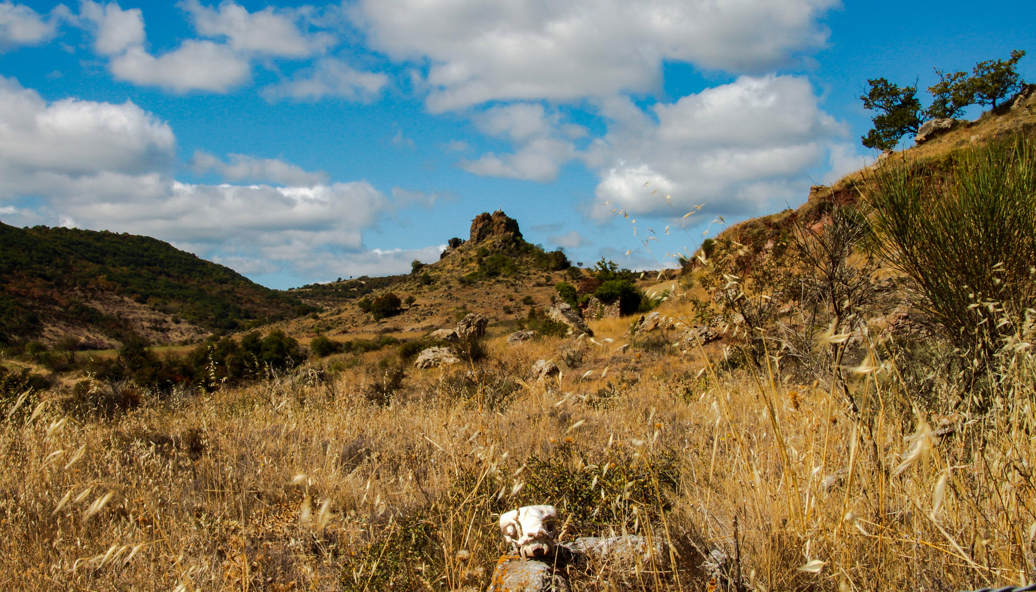 Dry and barren: Landscape near Brenas/Herault