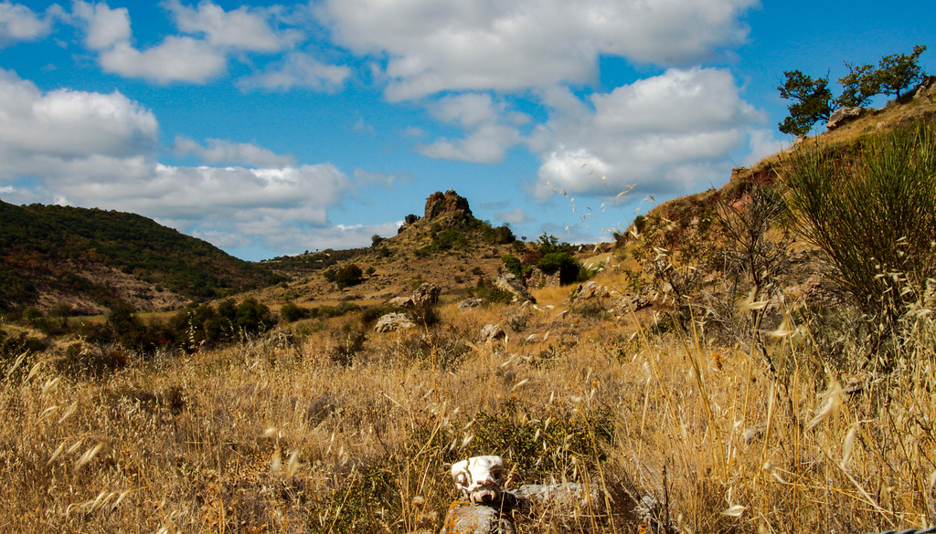 Dry and barren: Landscape near Brenas/Herault