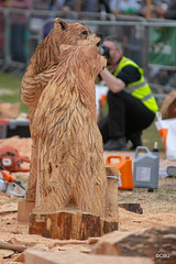 The Carrbridge World Chainsaw Carving Championship 2018