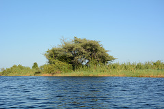 Botswana, The River of Chobe and the Coast of Sedudu Island