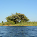 Botswana, The River of Chobe and the Coast of Sedudu Island