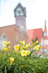 Yellow with an Architectural Background