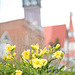 Yellow with an Architectural Background