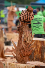 The Carrbridge World Chainsaw Carving Championship 2018