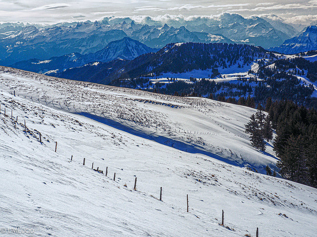 Schwyzer, Urner und Glarner Alpen HFF