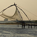 "Chinese" fishing nets in the Cochin backwaters